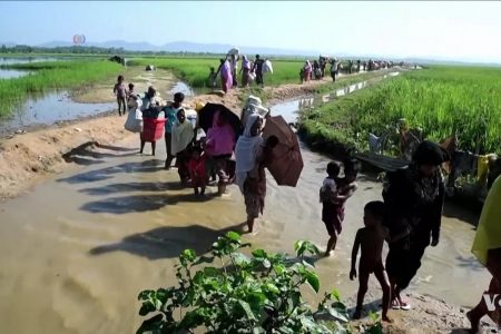 Rohingya_refugees_entering_Bangladesh