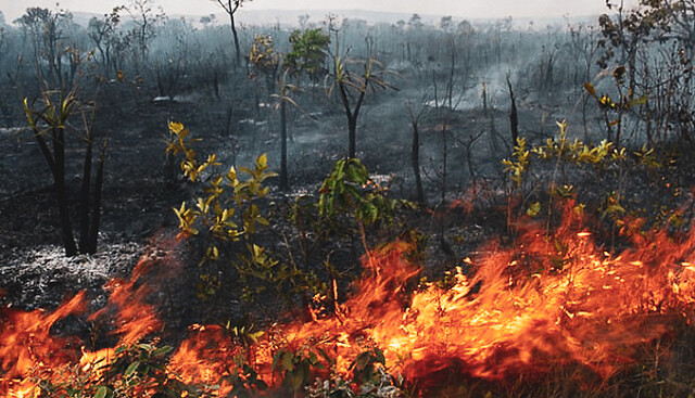 Thick Smoke From Human Caused Fires In The Amazon Spreads Across South America Peoples Dispatch