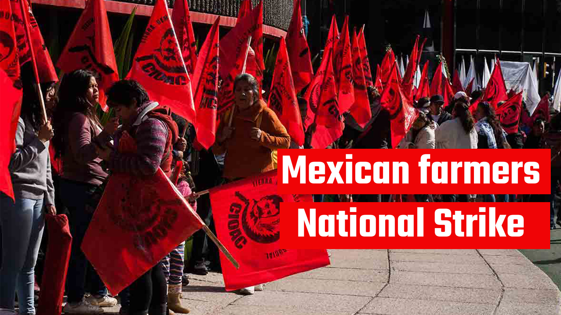 Mexican farmers natioal strike