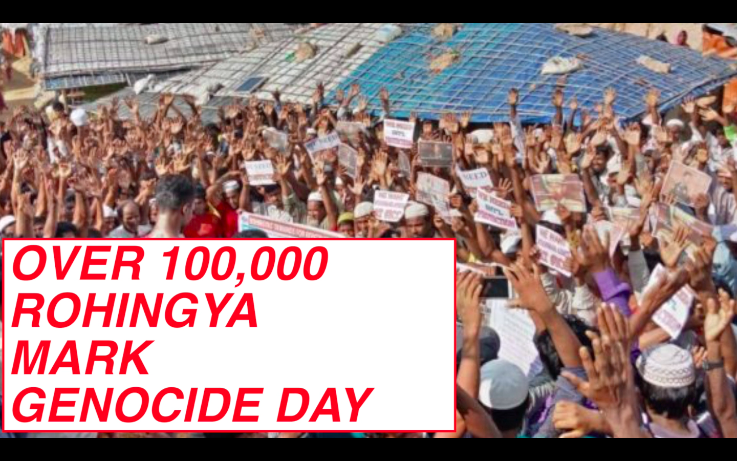 genocide day rohingya