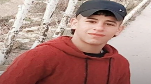 Palestine deaths