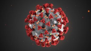 Novel coronavirus