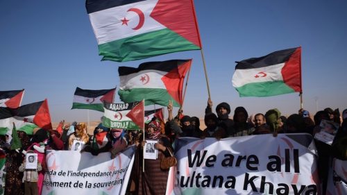 Morocco's violations in Western Sahara
