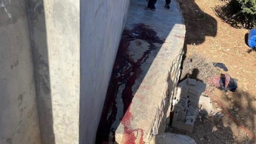 Israeli forces kill Palestinians