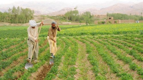 Afghanistan economy