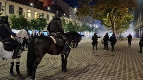 Police violence - Slovenia