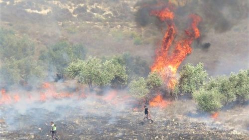 Israeli settler violence against Palestinians