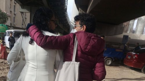 Egyptian activist Sanaa Seif released