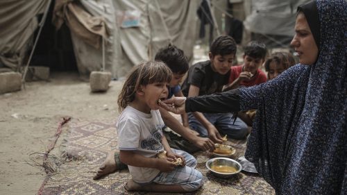 FAO report Food insecurity