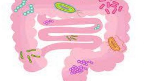 Human microbiome
