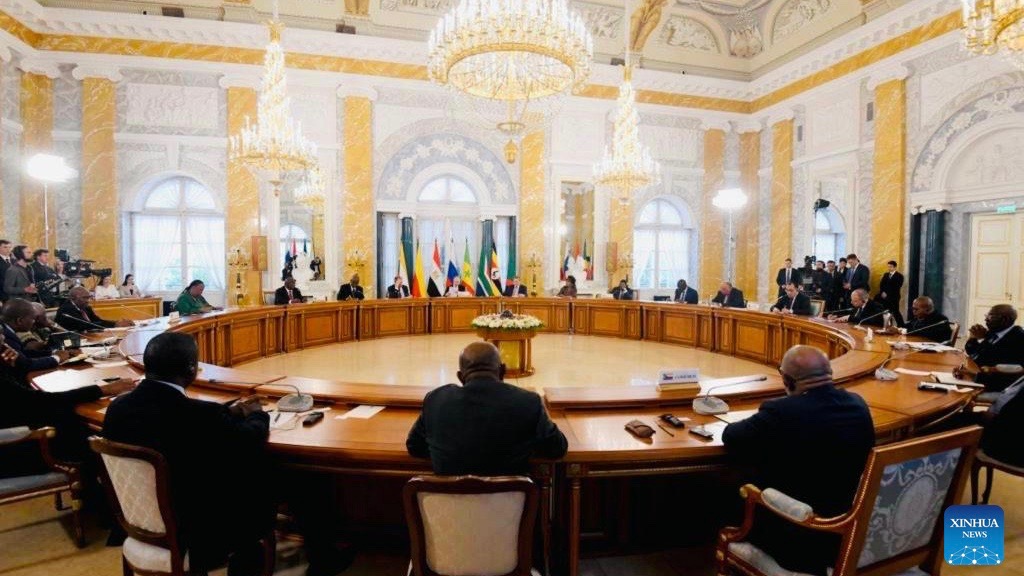 Putin meets African delegation