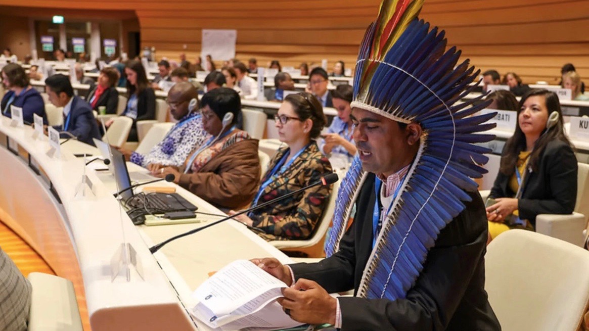 WHO Health of Indigenous peoples
