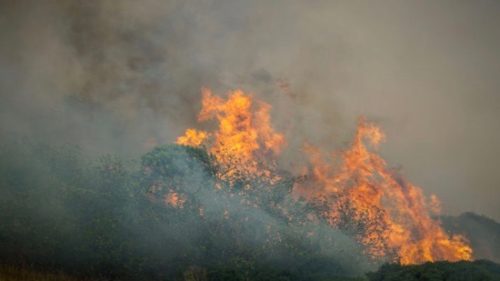 27-07 Greek fires