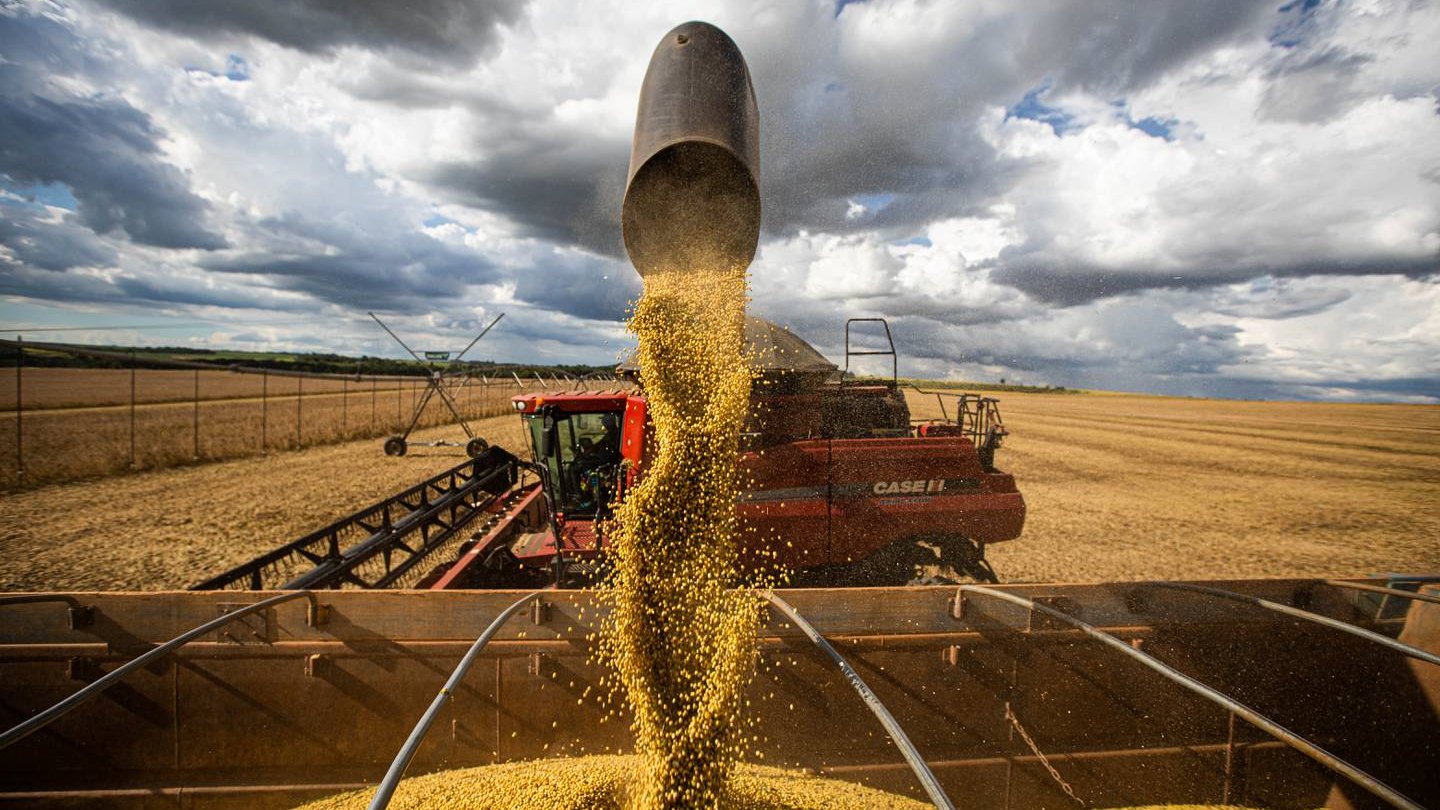 Ukraine grain deal hunger