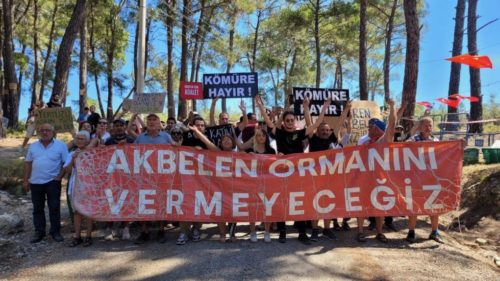 Akbelen forest Turkey