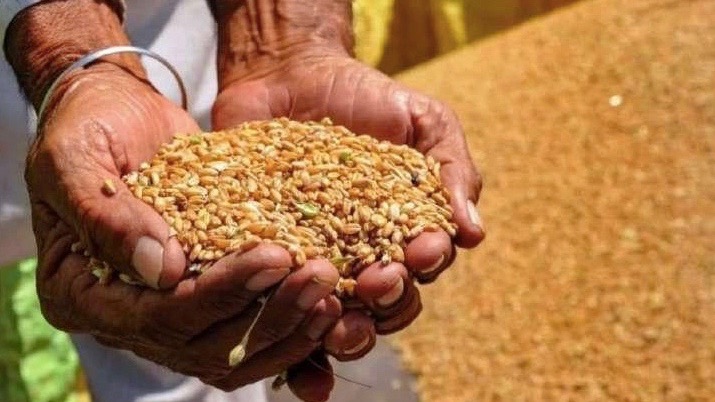 Foodgrain prices India