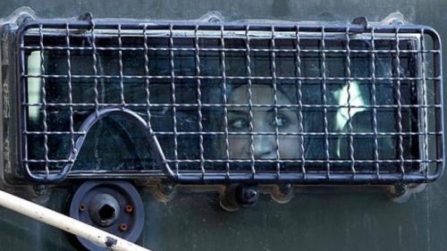 Palestinian prisoners Fatima Amarneh