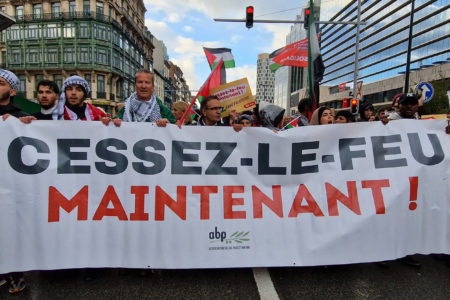 A protest in solidarity with Palestine in Brussels on November 11 (Photo: @AlexisDeswaef/X)