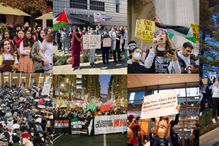 A wide array of actions were organized on November 9 for the Global Shutdown for Palestine.