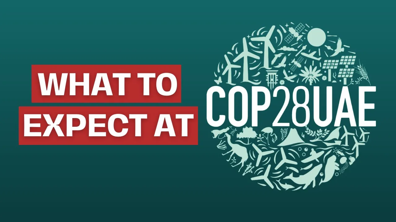 Activists expect multiple obstacles during health discussions at COP 28