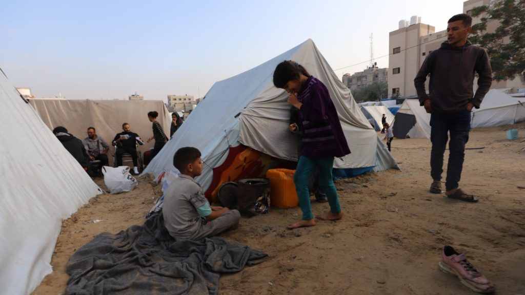 Gazas Food Crisis The Numbers Will Shock You 12 Dead - fm411si