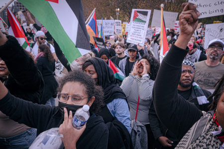 Half a million people participated in the largest pro-Palestine march in US history on November 4 (Photo: Bratton Young)