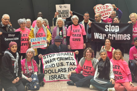 CODEPINK activists gather in Senate to urge Senators to vote no on an USD 118 billion spending package which includes aid to Israel. The package ultimately did not pass (Photo: CODEPINK)