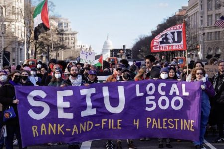 SEIU Local 500 marching for Palestine in Washington DC.  (Photo: Purple Up for Palestine)