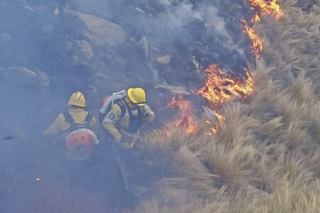 Fires in Córdoba, Argentina have been raging for the past month. Photo: Córdoba Government
