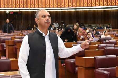 Opposition leader Omar Ayub Khan speaking in Pakistan's National Assembly on Tuesday November 5. Photo: NA Pakistan