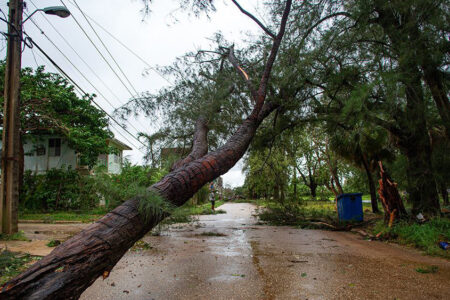 Mulgoba neighborhood, Boyeros municipality in Havana is impacted by Hurricane Rafael (Photo: Photo: Enrique González (Enro)/Cubadebate)