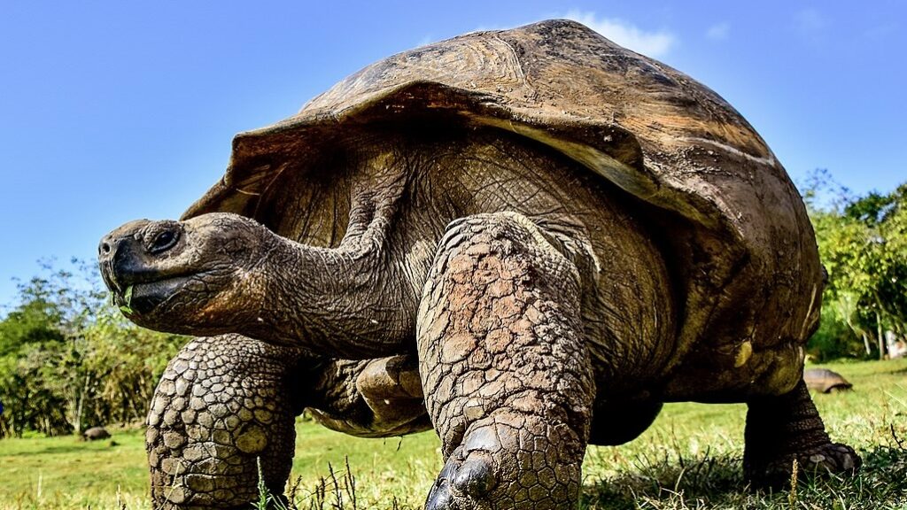 Ecuador’s Galapagos Islands now open to US military : Peoples Dispatch