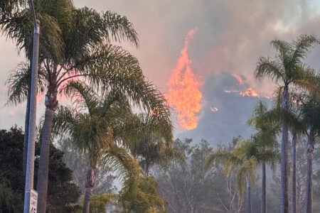 Palisades fire burns along Palisades Drive on January 7 (Photo via Wikimedia Commons)