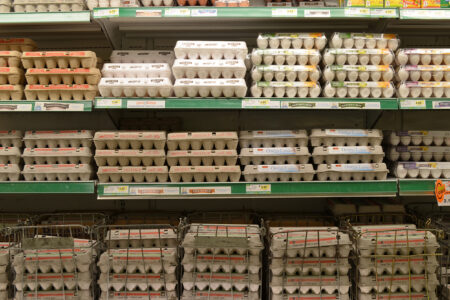 Skyrocketing prices experienced by billions in the US includes a major egg shortage, with egg prices soaring and supplies shrinking as bird flu (H5N1) outbreaks continue worldwide (Photo via Wikimedia Commons)