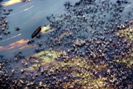 Hydrocarbon pollution on surface water in Ogoniland, Rivers State, Nigeria.
Photo: UNEP