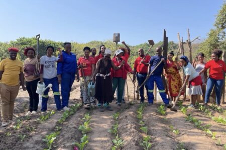 Abahlali baseMjondolo’s Hlanganani Branch in Salt Rock in South Africa’s KwaZulu-Natal Province is producing life and livelihood for its community on land that was previously unproductive and underutilized land. Photo: Pan Africanism Today