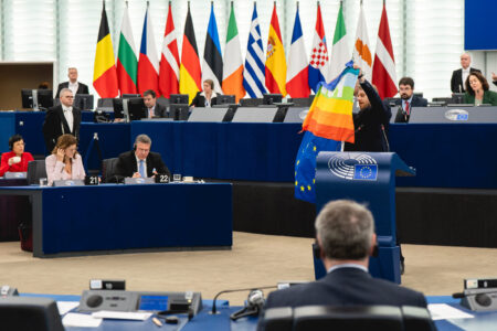 The Left bloc brings the peace flag to the European Parliament session. Source: The Left in the EP/X