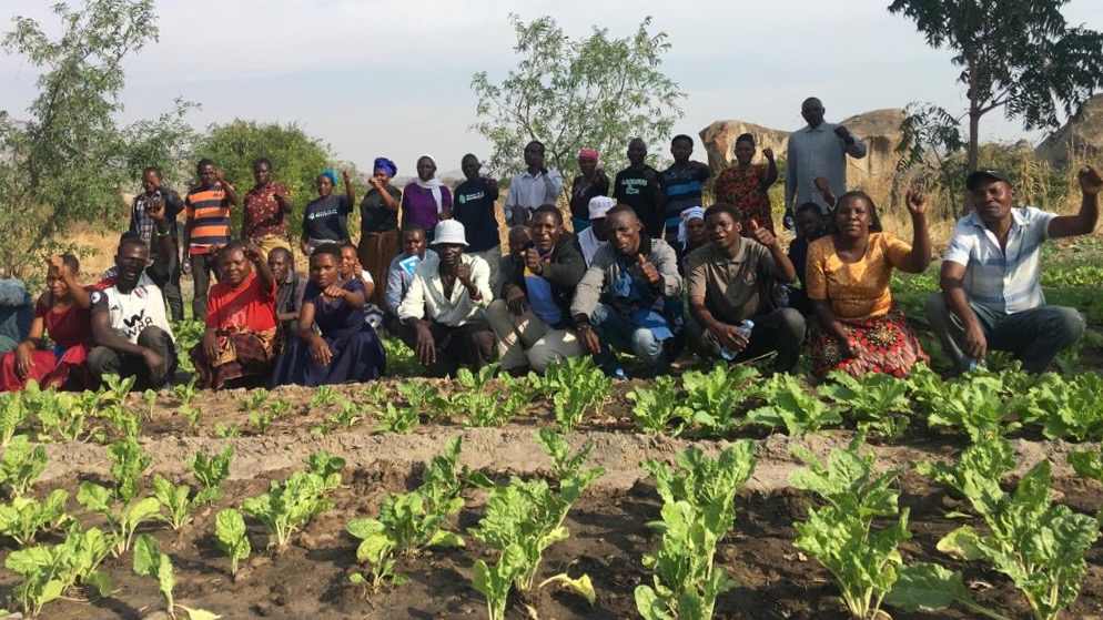 Land as a source of life- a continental reckoning with dispossession and struggle