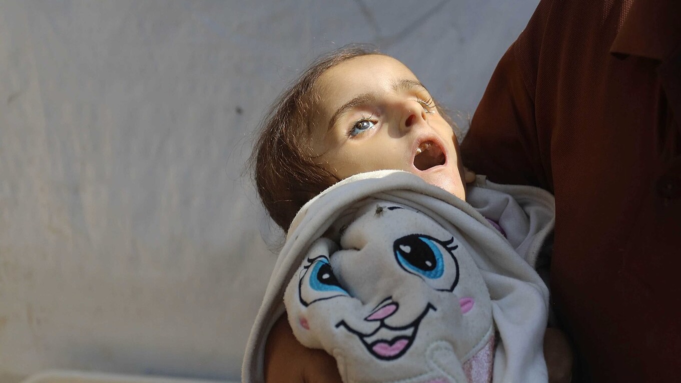 Being bombed, starved to death, or killed while seeking food- Israel's options for Palestinians in Gaza