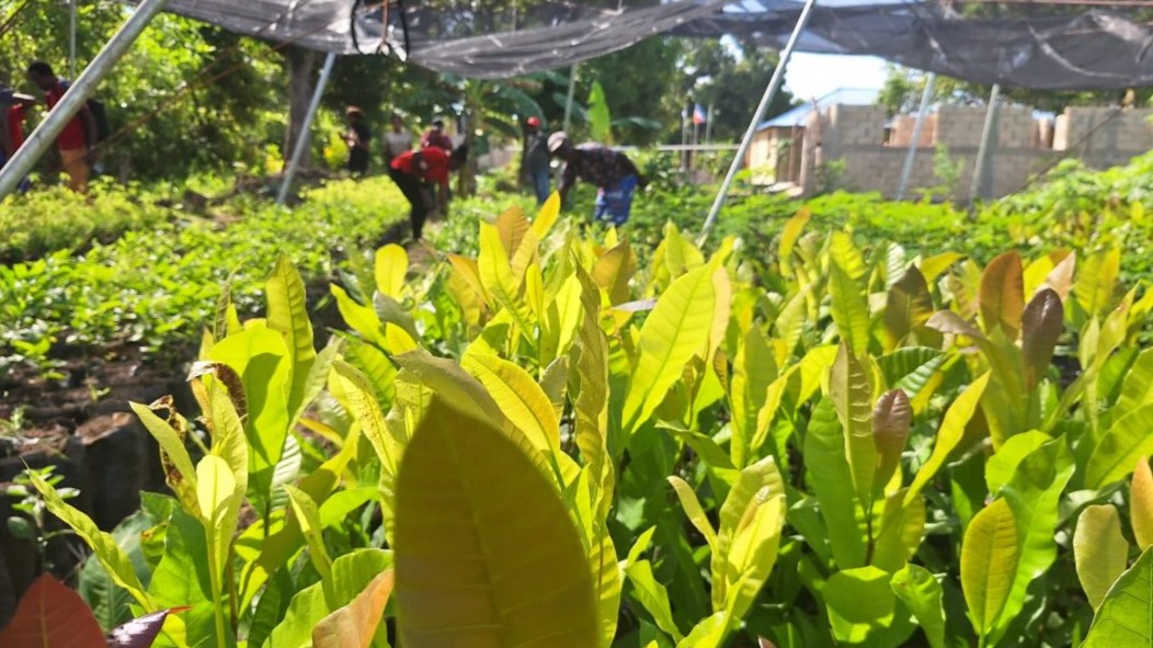 Fighting hunger in Haiti- Agroecological center trains farmers to produce food (1)