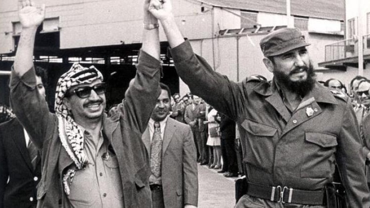 Fidel, Cuba, Palestinian solidarity