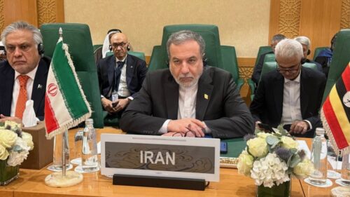 Abbas Araghchi at the meeting of the Organization of Islamic Cooperation