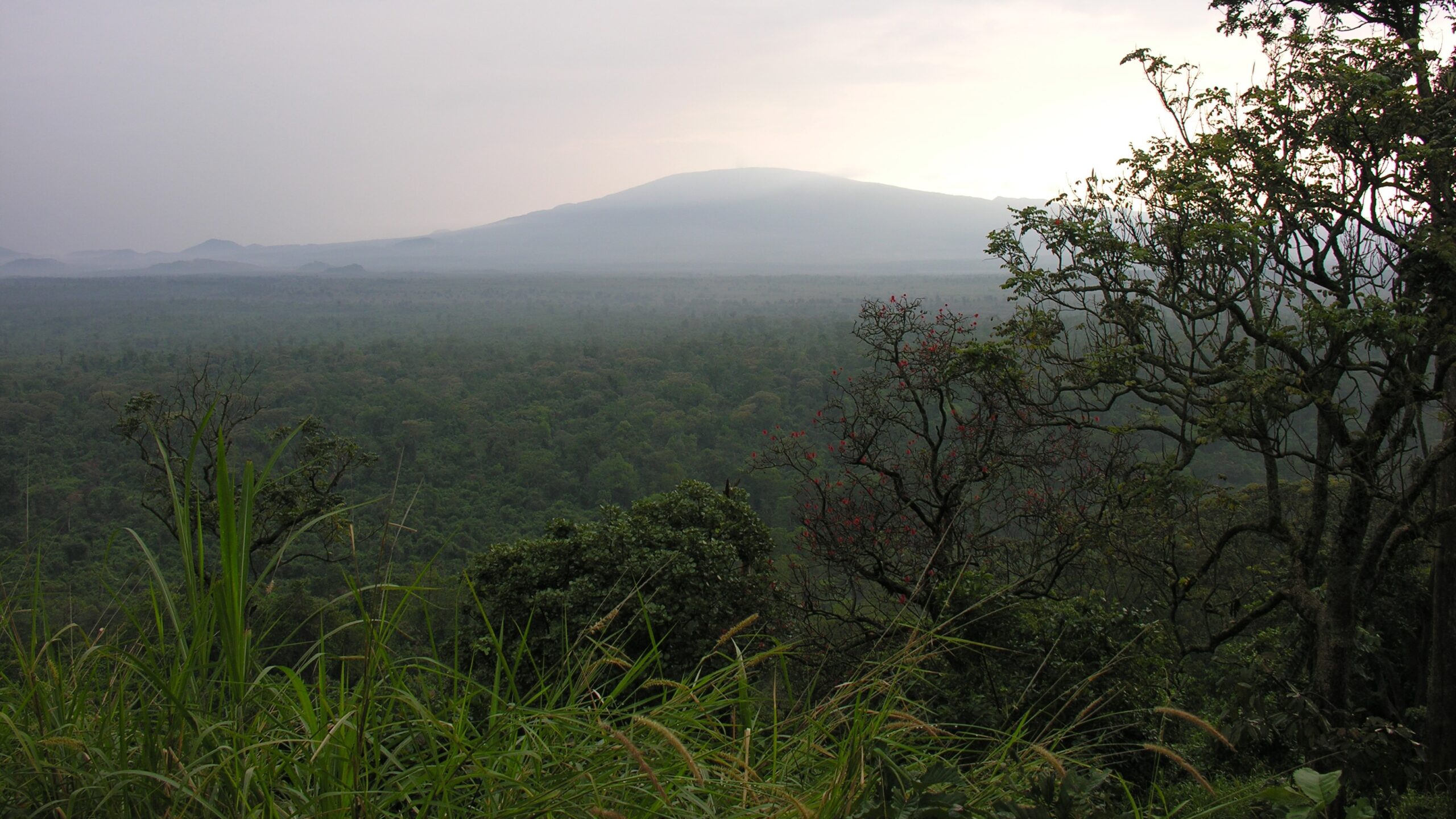Peace deal holds no water as mass killings persist in Congo : Peoples ...