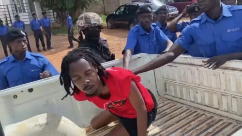 activist Alieu Bah thrown in white truck by Gambian police