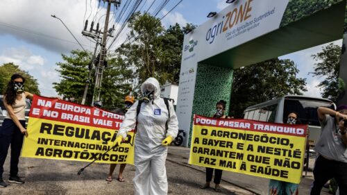 COP30 agribusiness