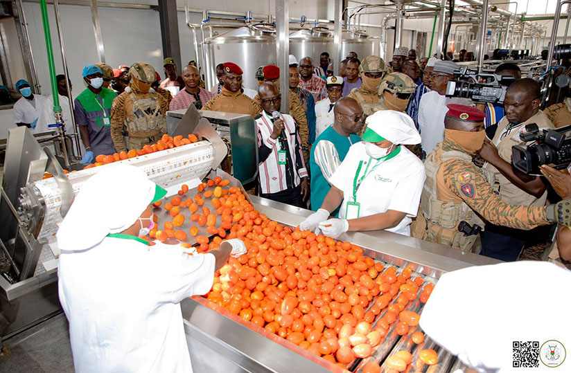 Tomato pulp plant Burkina Faso