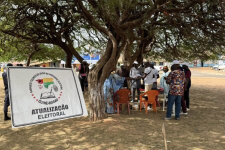 guinea bissau electoral process Pre-electoral preparations CNE Guinea-Bissau