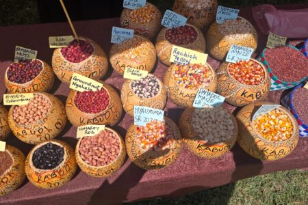 seeds kenya Indigenous seed exchange
