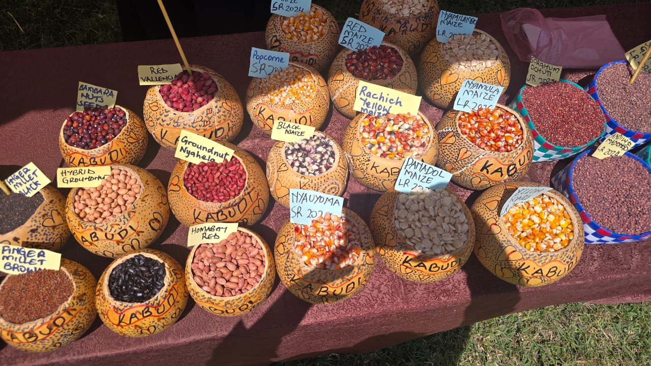 Indigenous seed exchange