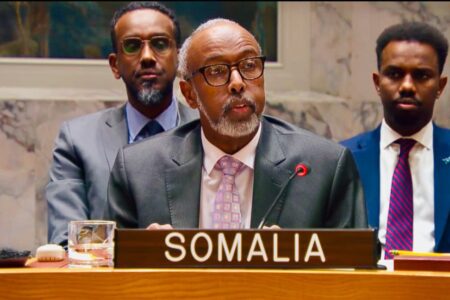 somalia rep at UNSC Somalia's UN envoy Abukar Osman speaking at the emergency UNSC session on December 29, 2025. Photo: Somalia MFA